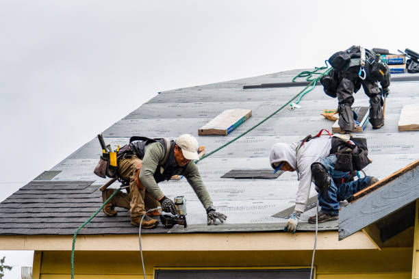 Professional Gutter Installation technician working in Dalton, MN